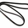 Goodyear Continental Serpentine Belt -Cheap Goodyear Store 4060940 serpentine belt e781eed2 aea5 4006 9bda cabd3ded05a6